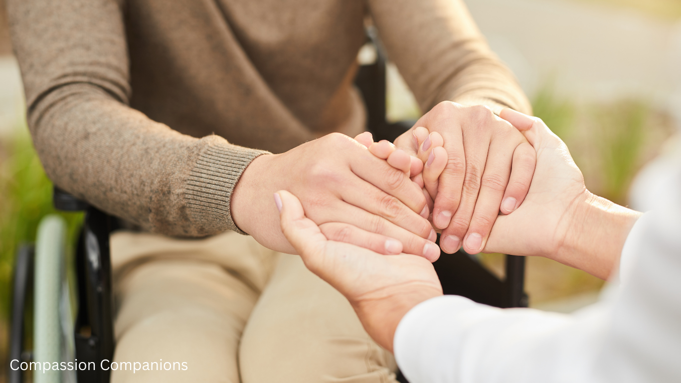 Compassion Companions